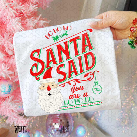 Santa Said You Are A Ho Ho Ho DTF Transfer