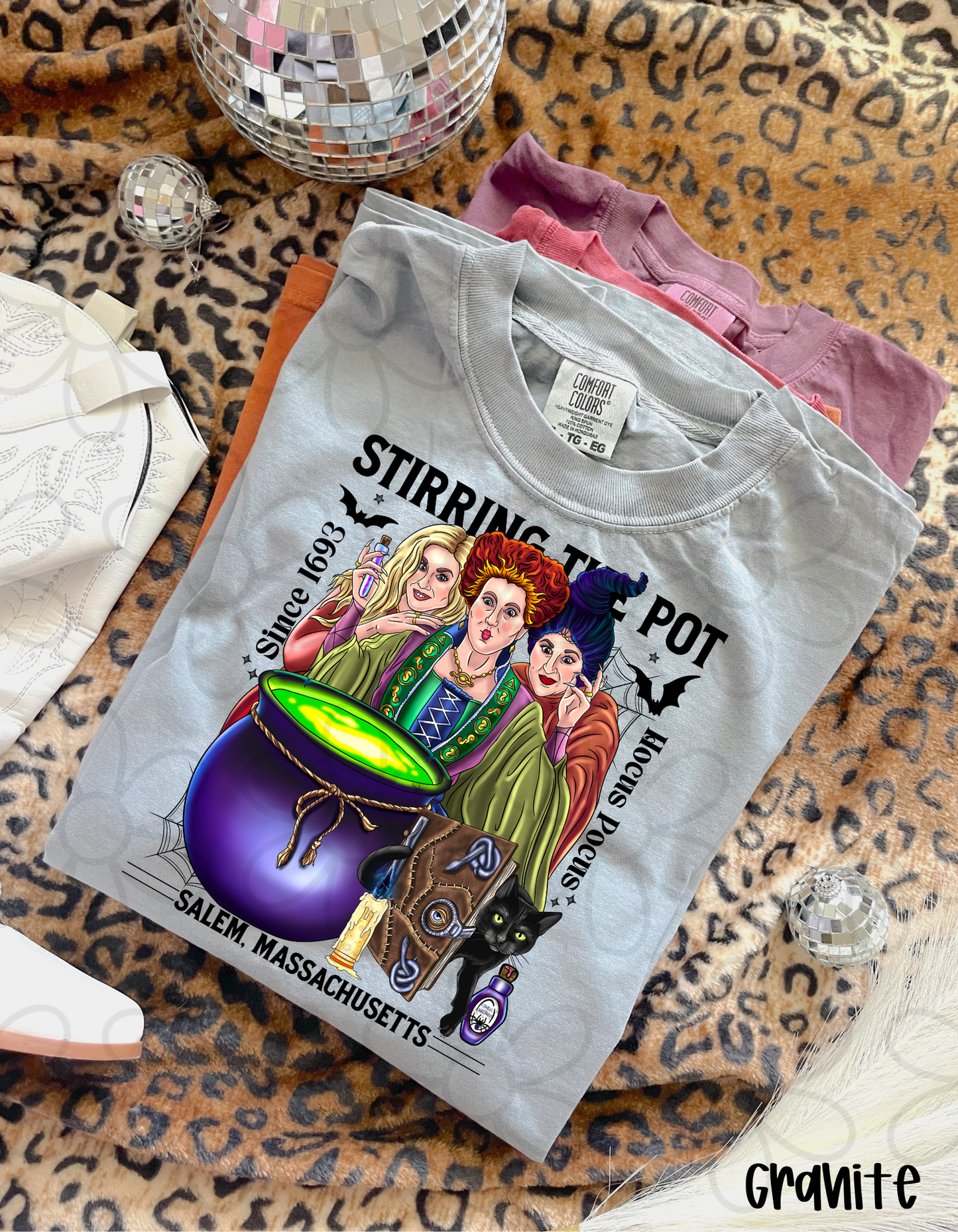 Stirring The Pot Hocus Pocus DTF Transfer