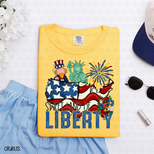 Sweet Land Of Liberty-BLUE Completed Tee