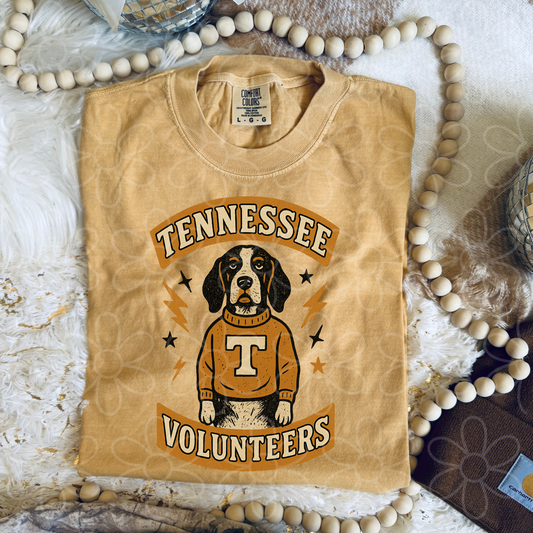 Tennessee Volunteers Bolts & Stars DTF Transfer