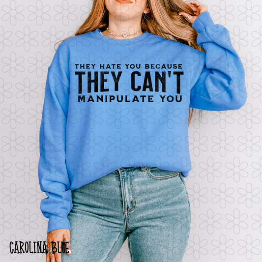 They Hate You Because They Can't Manipulate You Completed Tee