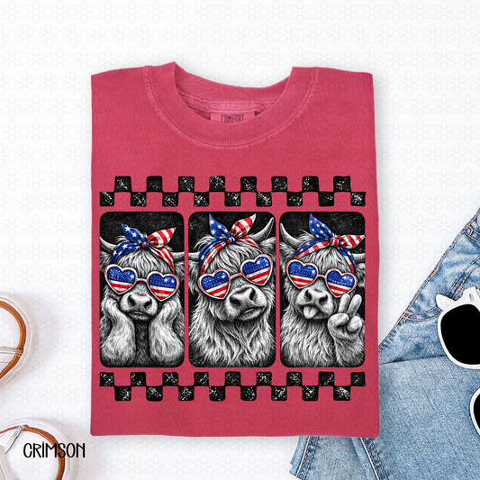 USA Checkered Cows Completed Tee