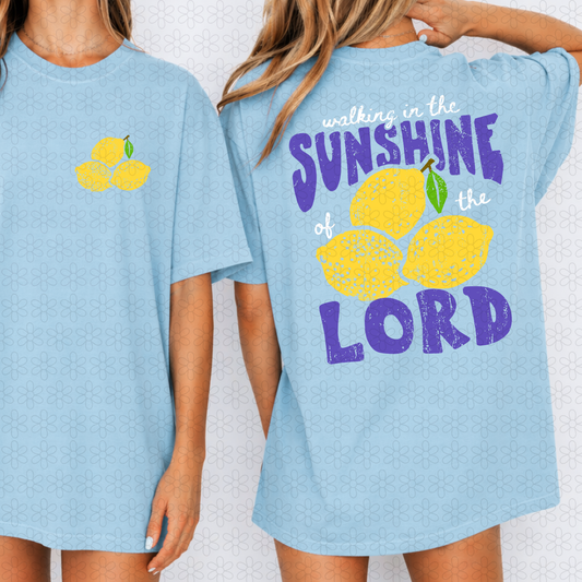Walking In The Sunshine (Multiple Colors)  Completed Tee