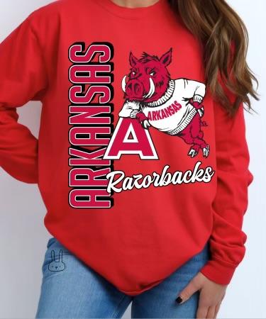 Arkansas Completed