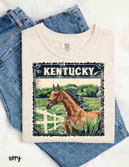 Distressed States - Multiple Options Completed Tee