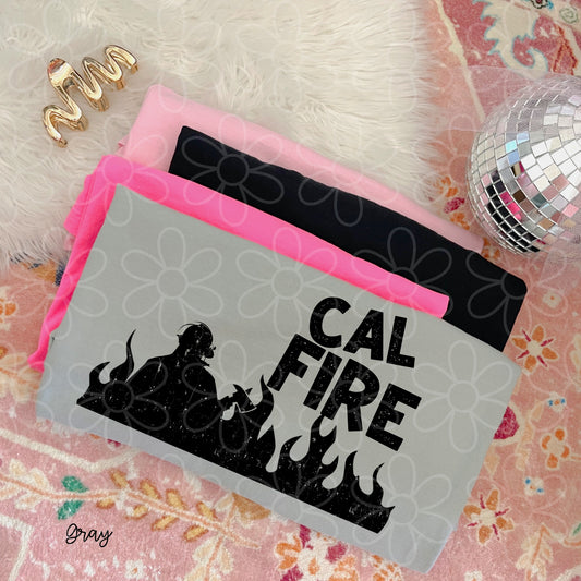 Cal Fire DTF Transfer
