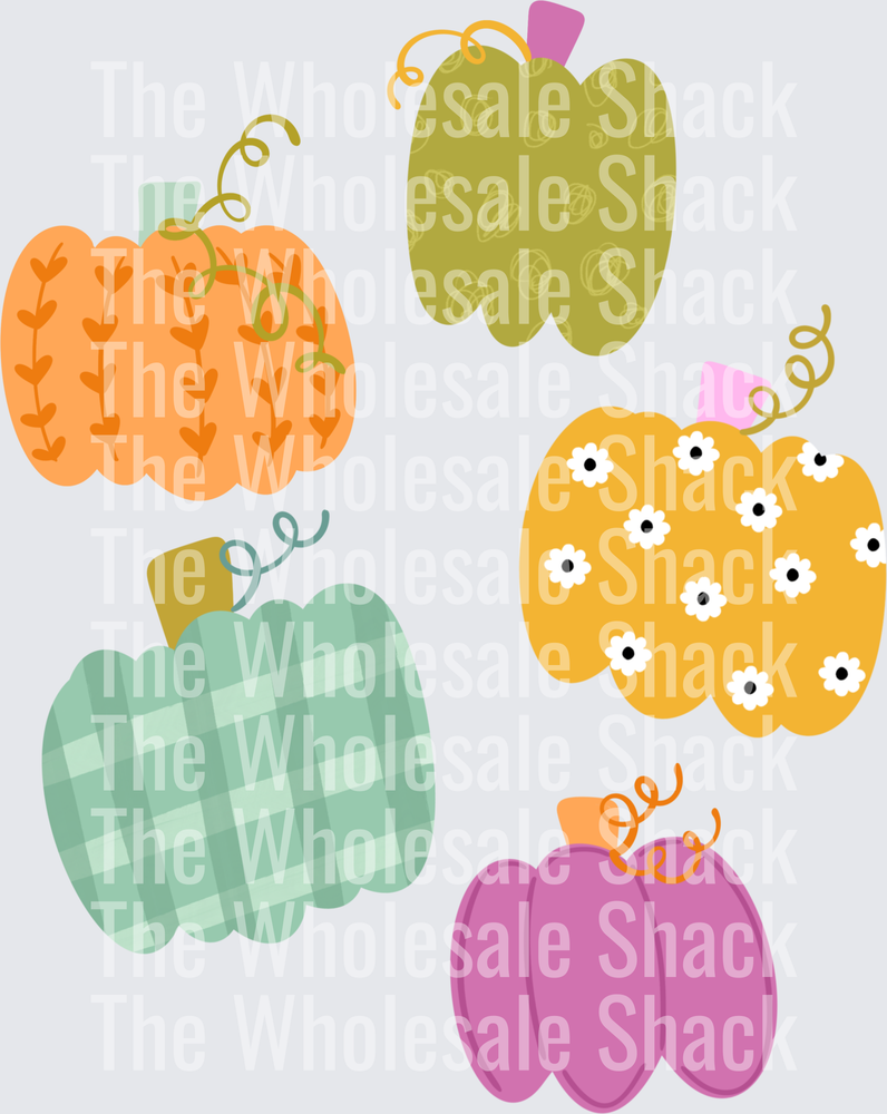 Colorful Pumpkins - Fall
