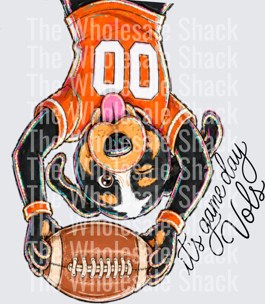 IT'S GAME DAY VOLS DTF Transfers