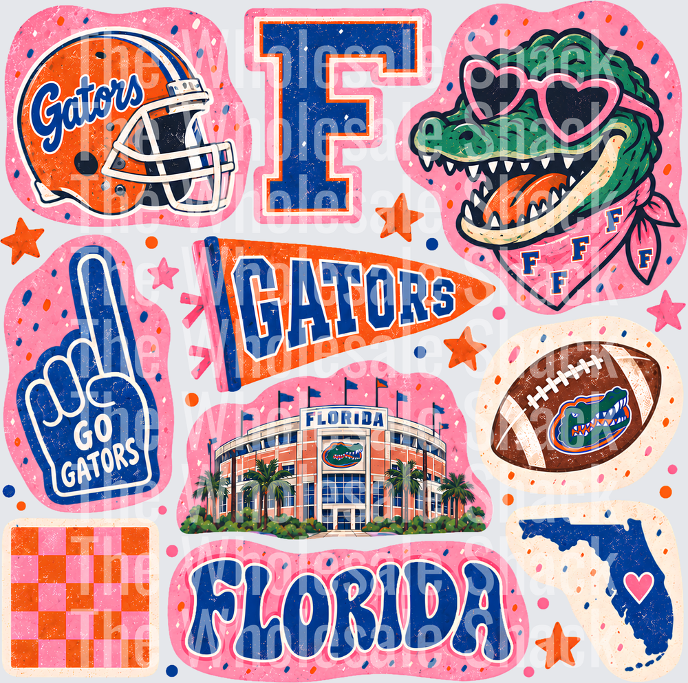 Colorful Florida DTF Transfer