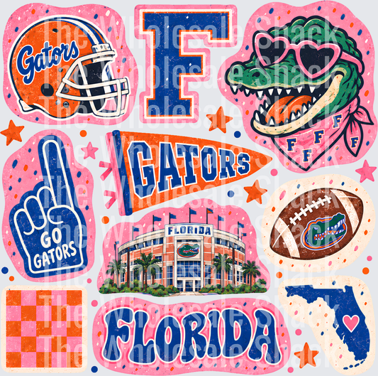 Colorful Florida DTF Transfer