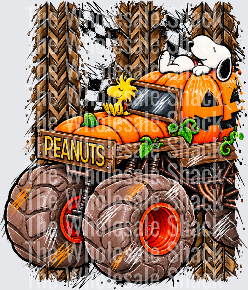 Peanuts DTF Transfers