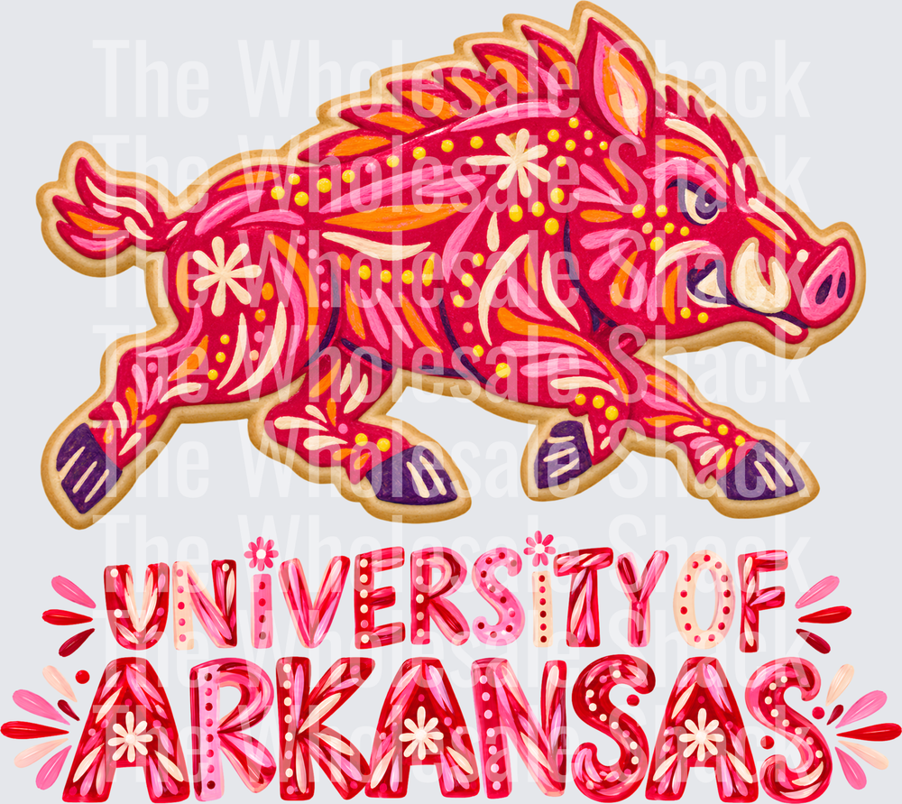 University of AR DTF Transfers