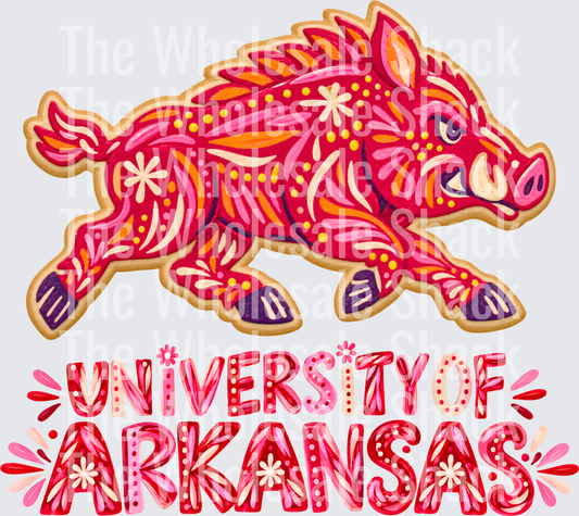 University of AR DTF Transfers