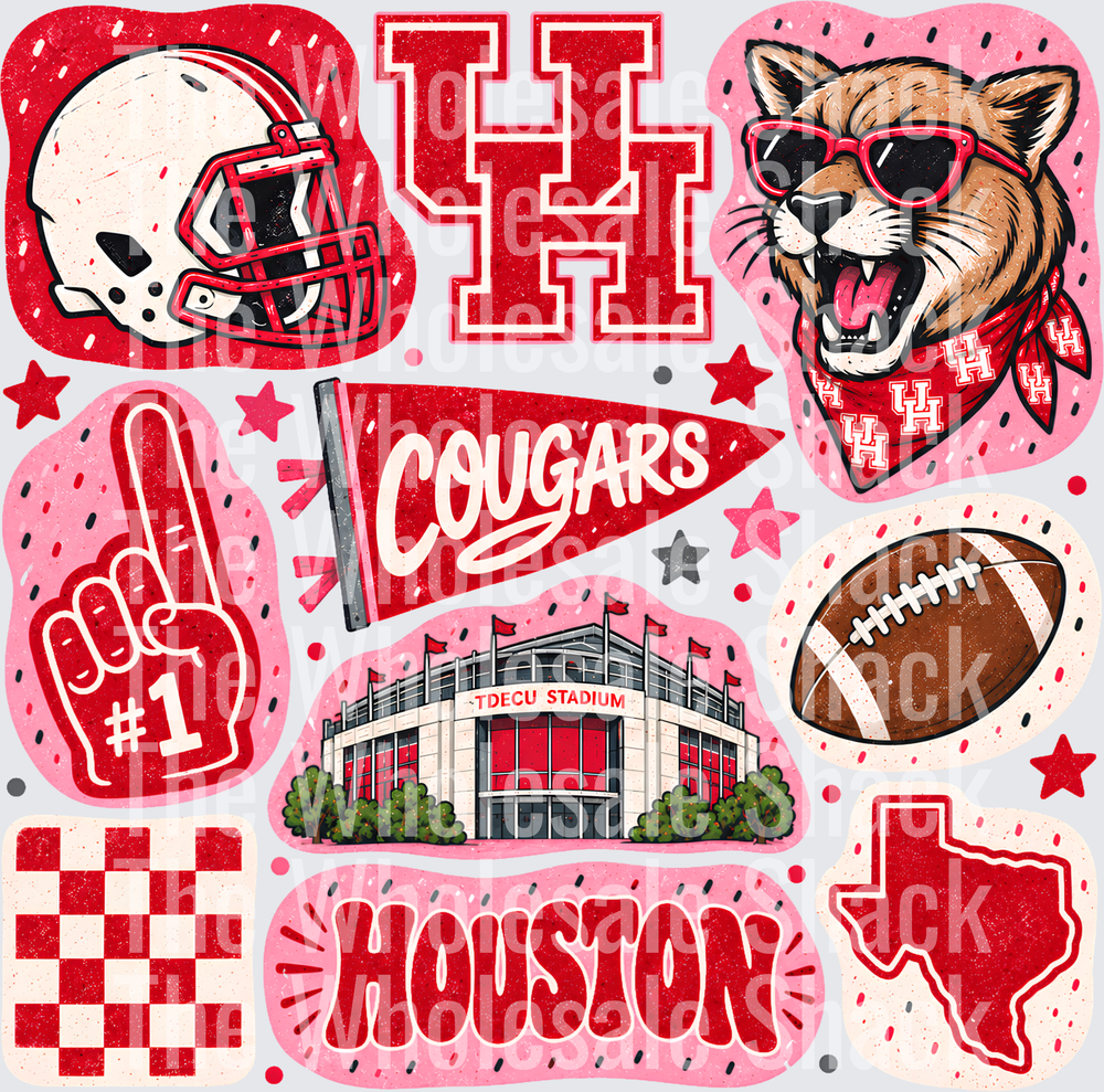 Colorful Cougars DTF Transfers