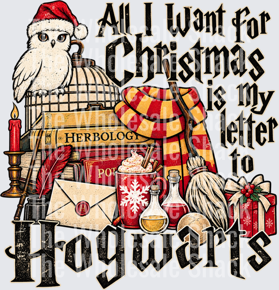 All I Want For Christmas Is My Letter