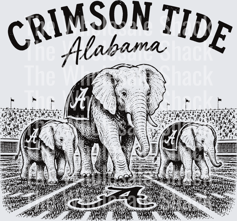 Black and white Tide DTF Transfers